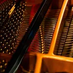 דירה The Grand Piano *