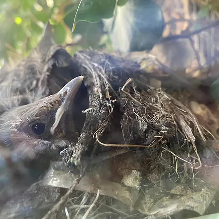 Apartment The Grand Piano