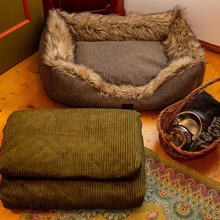 The Grand Piano Apartament Jena