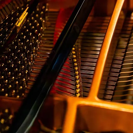 Appartement The Grand Piano *