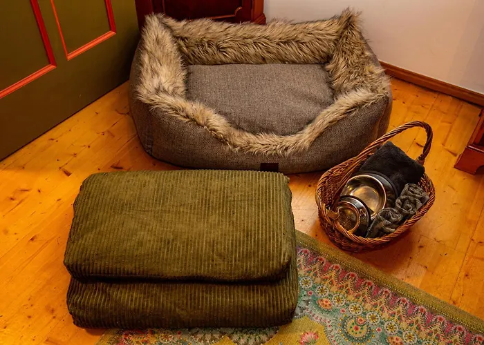 The Grand Piano Apartment Jena